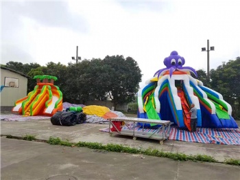  Giant Inflatable Octopus water pool slide Park	